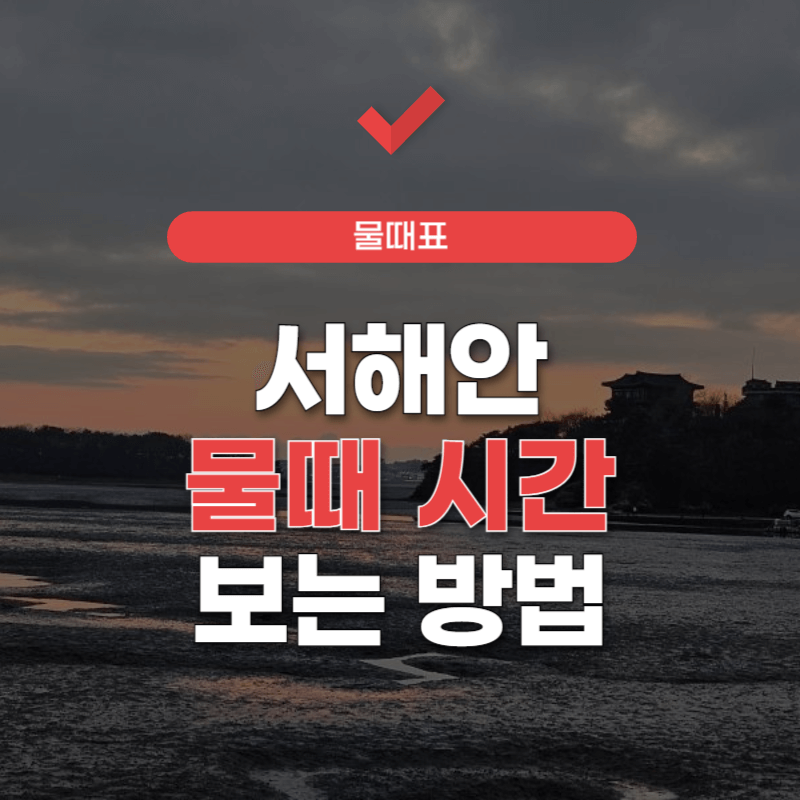 서해안-물때표시간-썸네일