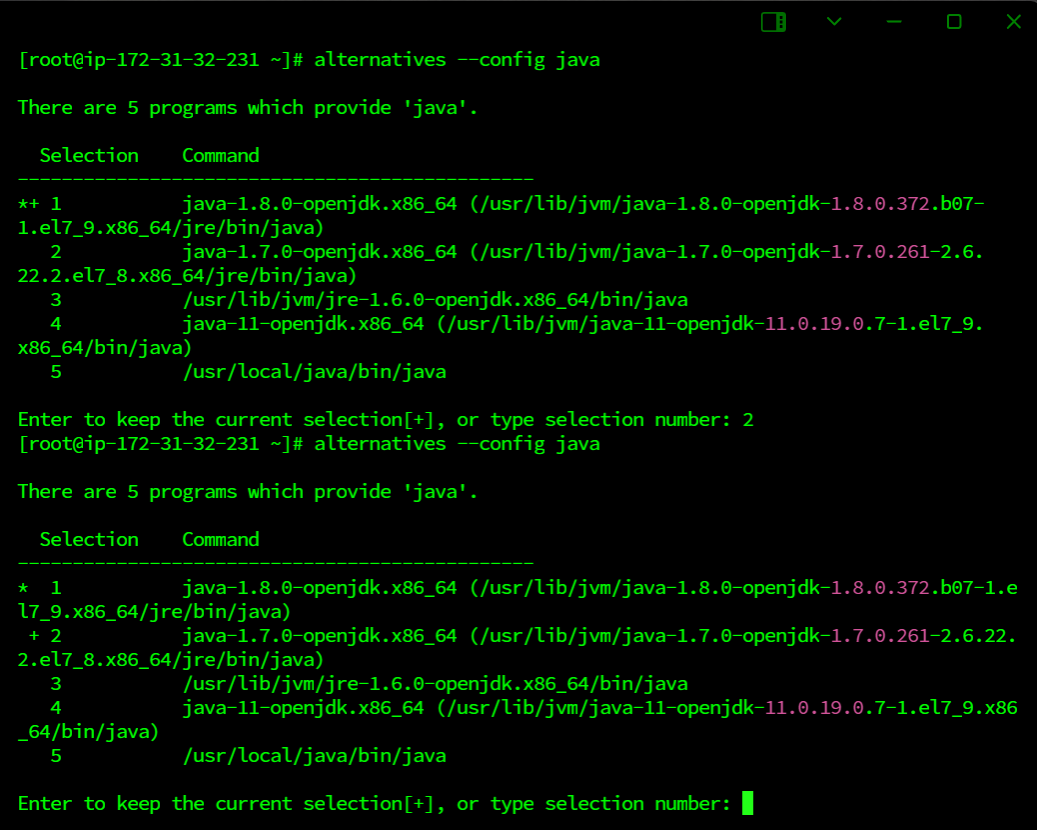alternatives --config java 명령 실행