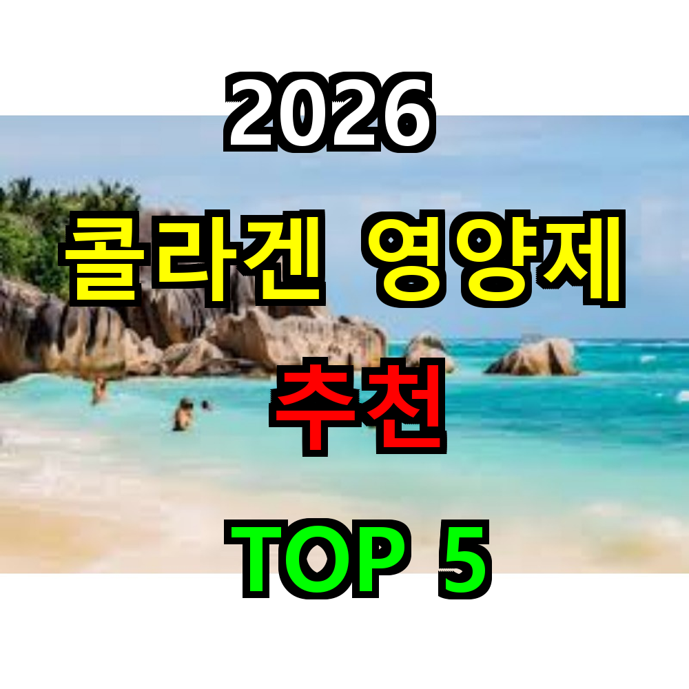 2026 콜라겐 영양제 추천 TOP 5