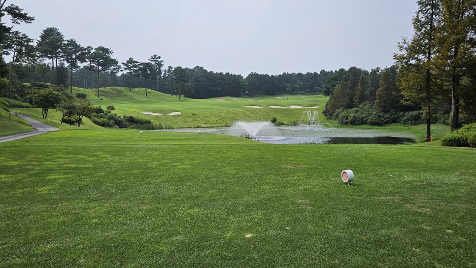 골프장 경험담 여주 세라지오CC 자연 속에서 즐기는 프리미엄 퍼블릭 골프장의 품격
