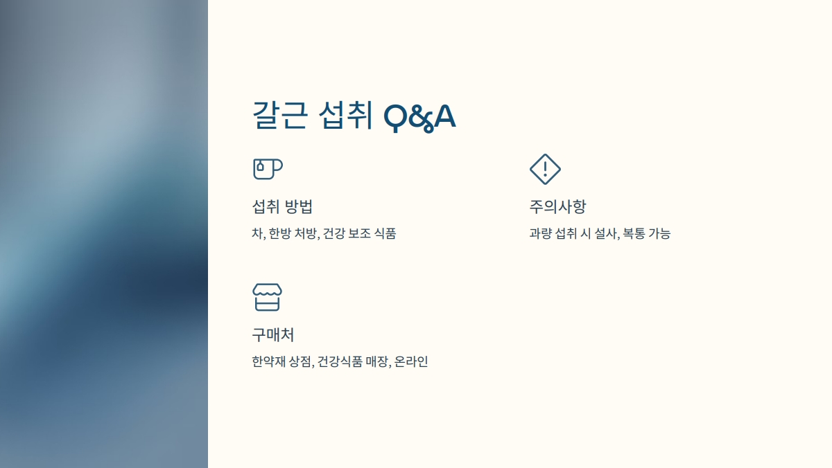 갈근 효능
