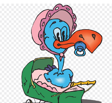 아벤트 쪽쪽이 곰팡이 생기지 않는 관리 소독법