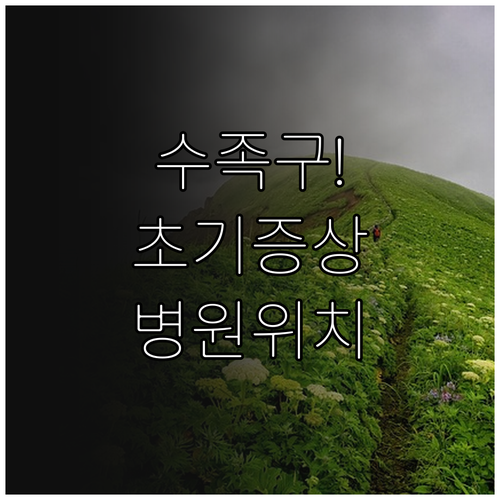 수족구 초기 증상 및 양구 인근 병원..