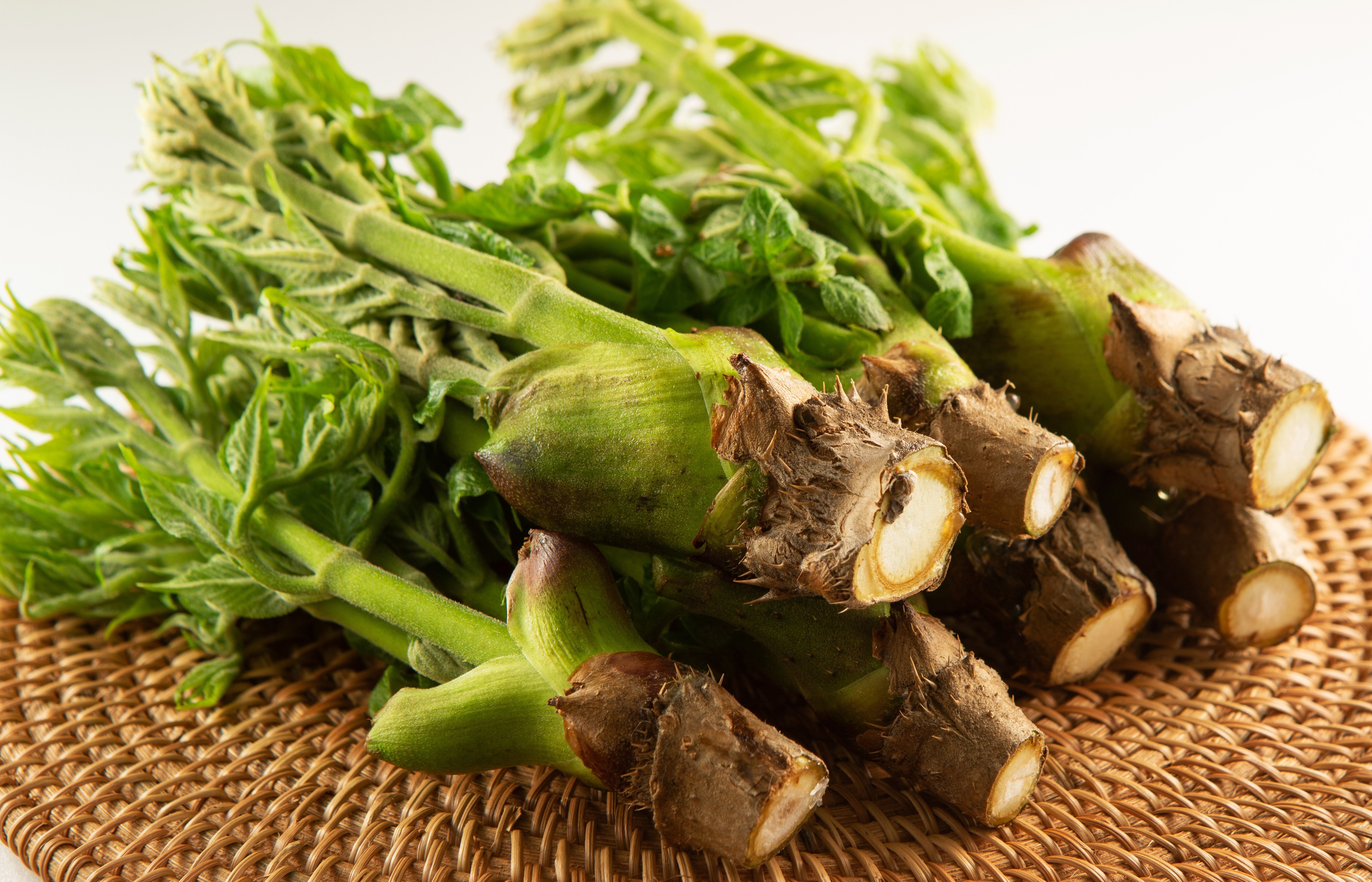 자른 두릅 사진