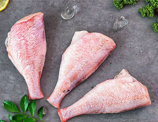 생방송투데이 오늘도달린다 청년사장 수산물로 월매출 4천 윤자네수산 정보