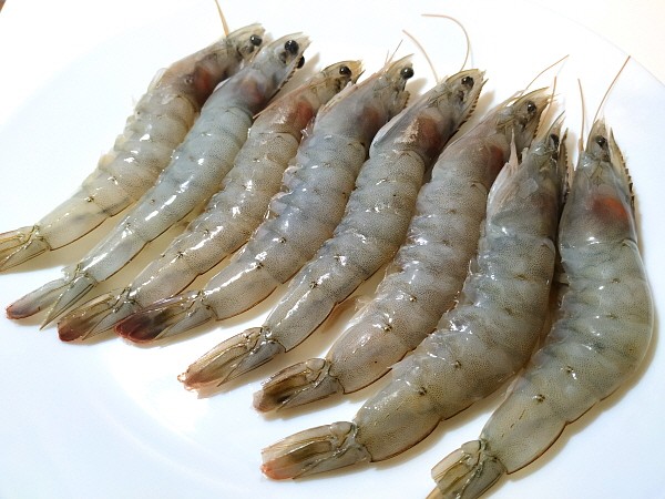 새우 효능 및 부작용