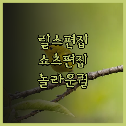 릴스/쇼츠 영상 편집, 지금 바로 시
