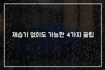 제습기 없이 습기 제거 끝 숯 염화칼슘 등 천연 제습제 활용법 완벽 가이드_13