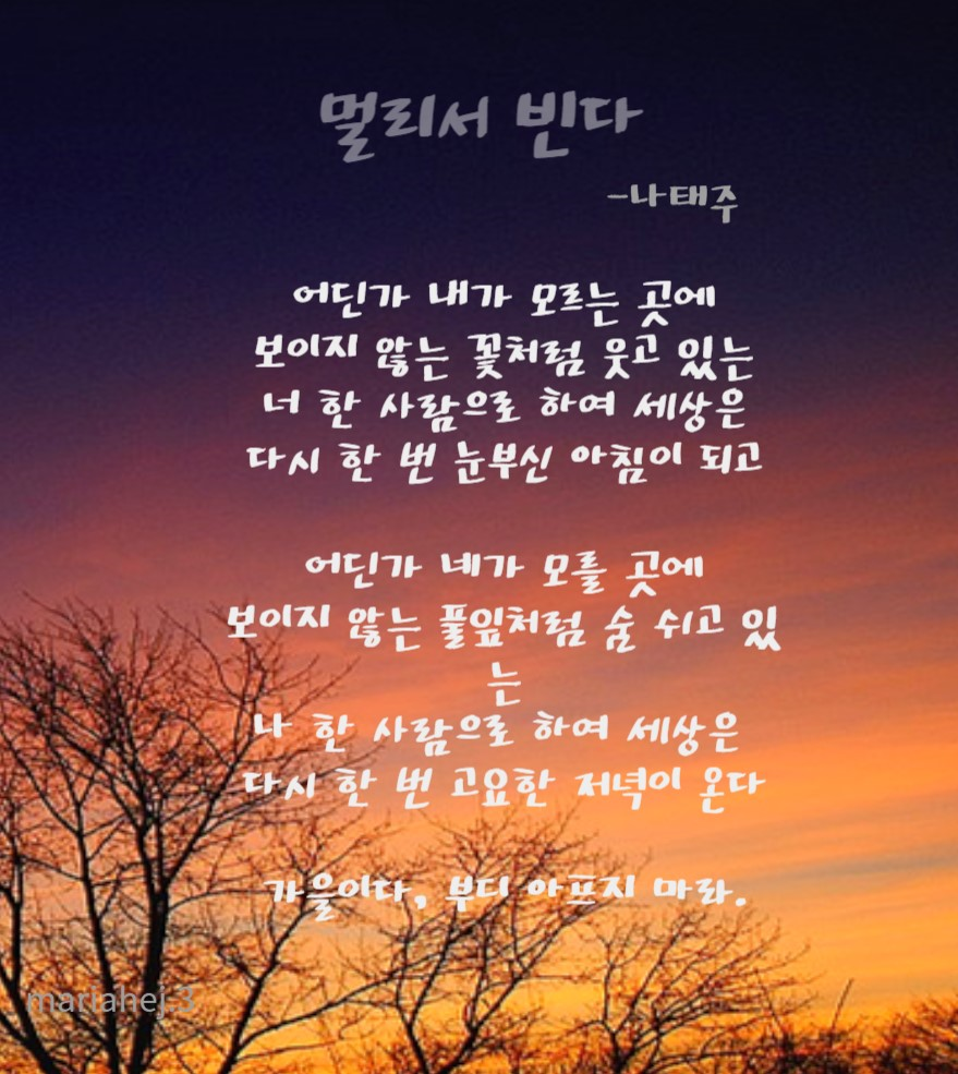 나태주 시인의 '멀리서 빈다'