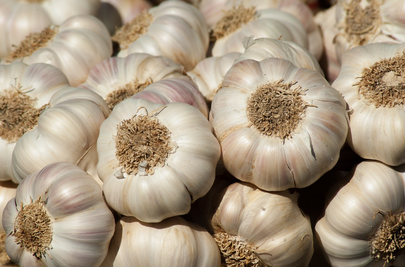 마늘_효능