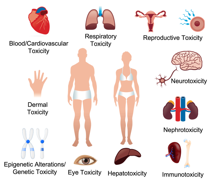 [S00-T98] ⅩⅨ. 손상, 중독 및 외인에 의한 특정 기타 결과(S00-T98)
