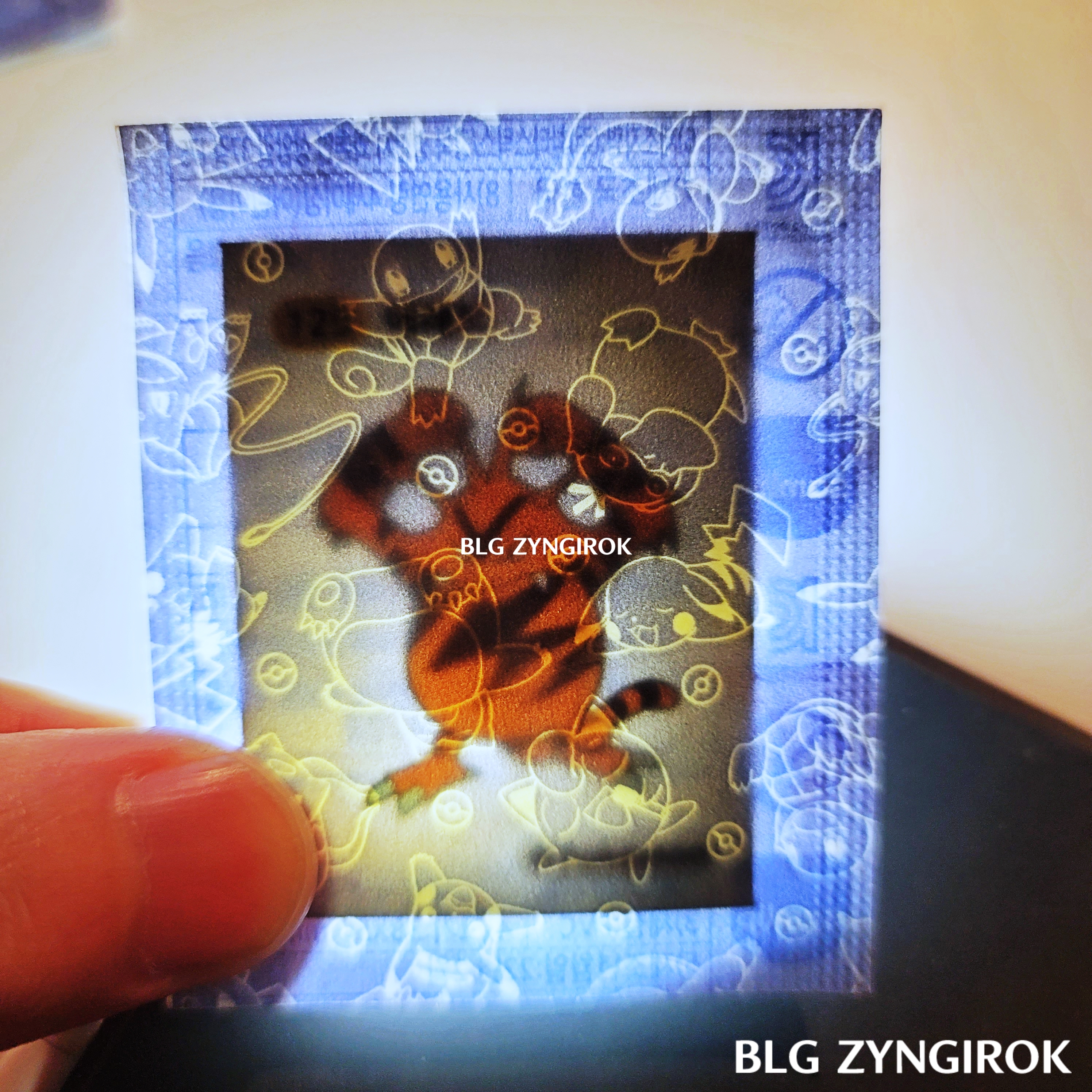 띠부띠부씰-에레브를-들고있다.