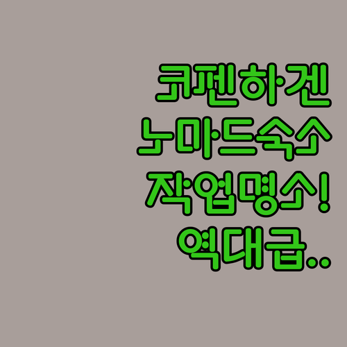 덴마크 코펜하겐 디지털 노마드 숙소 ..