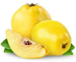 목에 좋은 음식