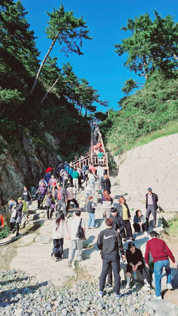태종대 유원지