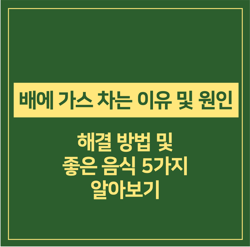 배에 가스 차는 이유