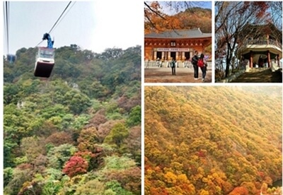 내장산 단풍여행 코스&amp;#44; 주차&amp;#44; 케이블카&amp;#44; 숙박예약