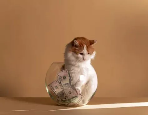 ๋
ธ๋ น์ฐ๊ธ ์๊ธ์๊ฒฉ