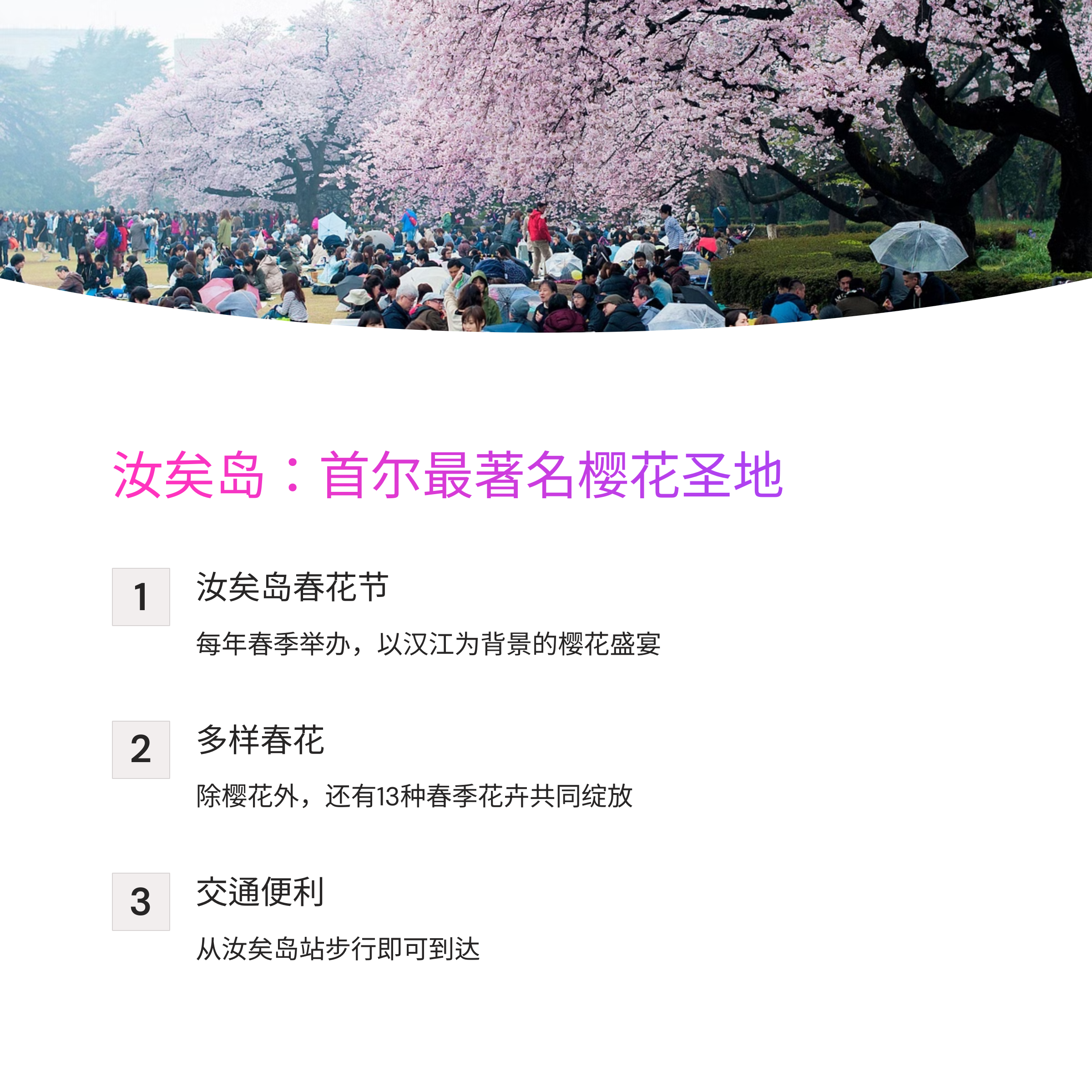 2025年首尔赏樱花胜地TOP 10完全指南 - 从网红打卡地到隐秘景点