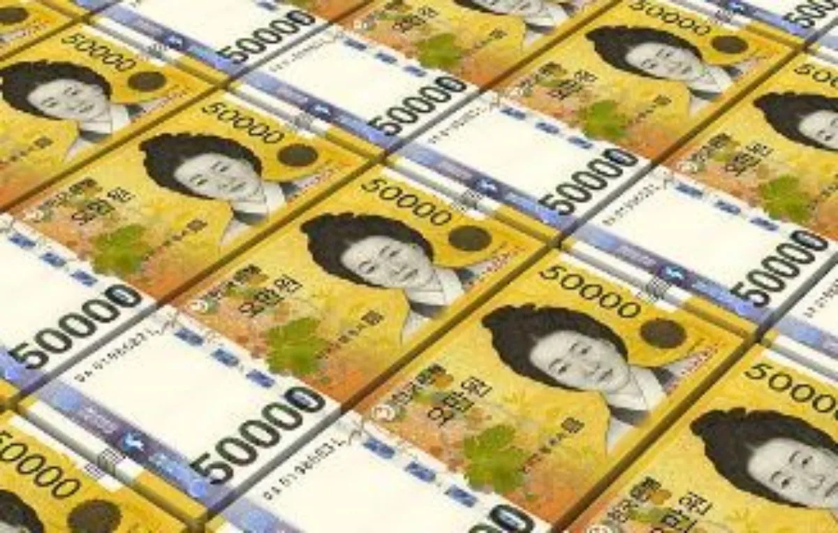 5만원권 묶음 사진