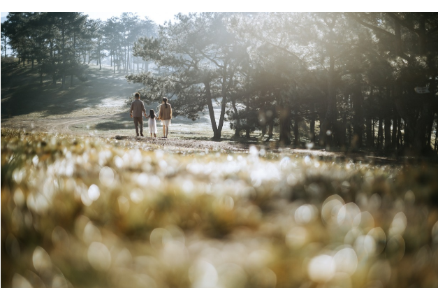 현대 가족 갈등과 커뮤니케이션 전략, 시가·친정과의 관계, 세대차이 극복 방법