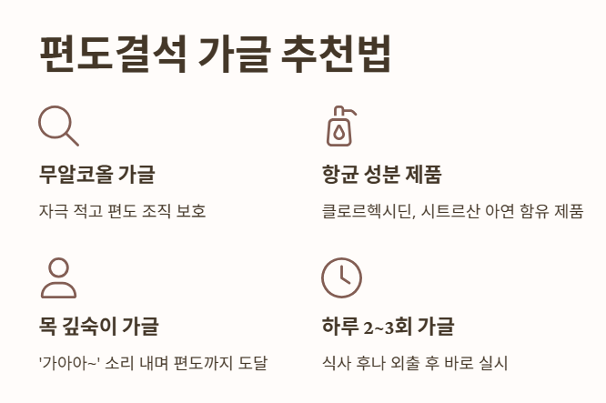 편도결석 가글 추천법
