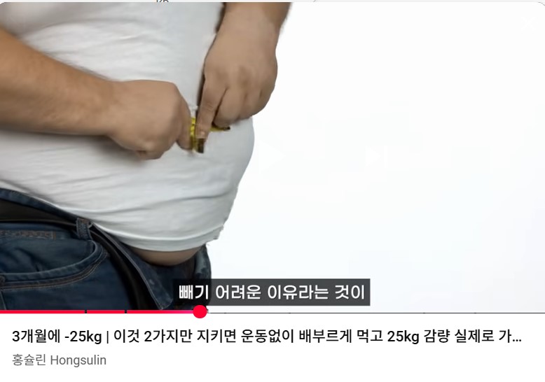 3개월에 25kg 감량 꼭 지킬 2가지 홍슐린 채널