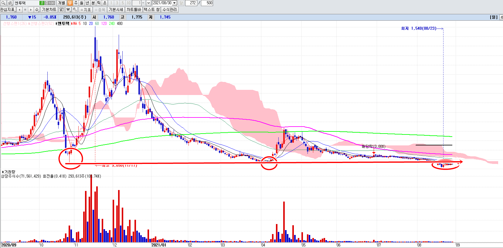 엔투텍일봉차트