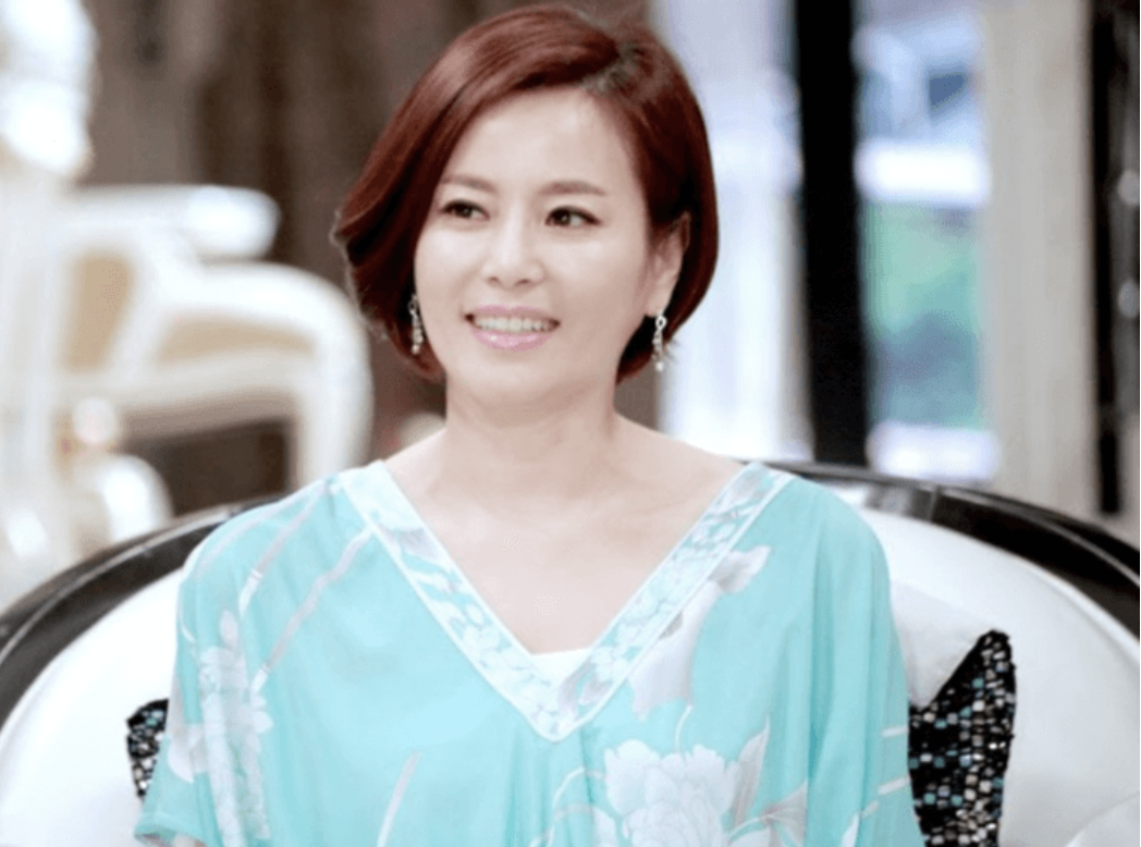 견미리 출연작