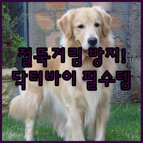 우리 강아지 뒷다리 절뚝거림 방지 닥..