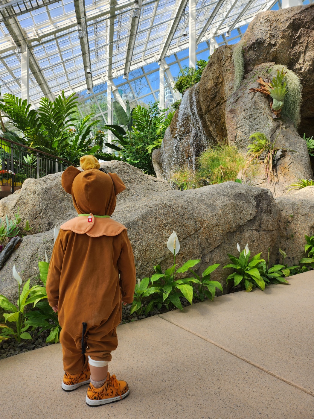 폭포를 바라보는 아이