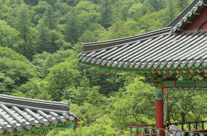 익산 미륵사지 여행, 세계문화유산 사찰터의 매력 관련사진