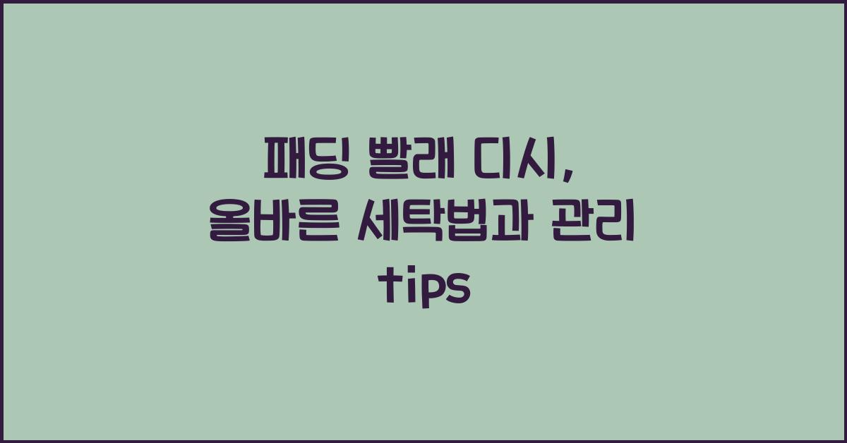 패딩 빨래 디시