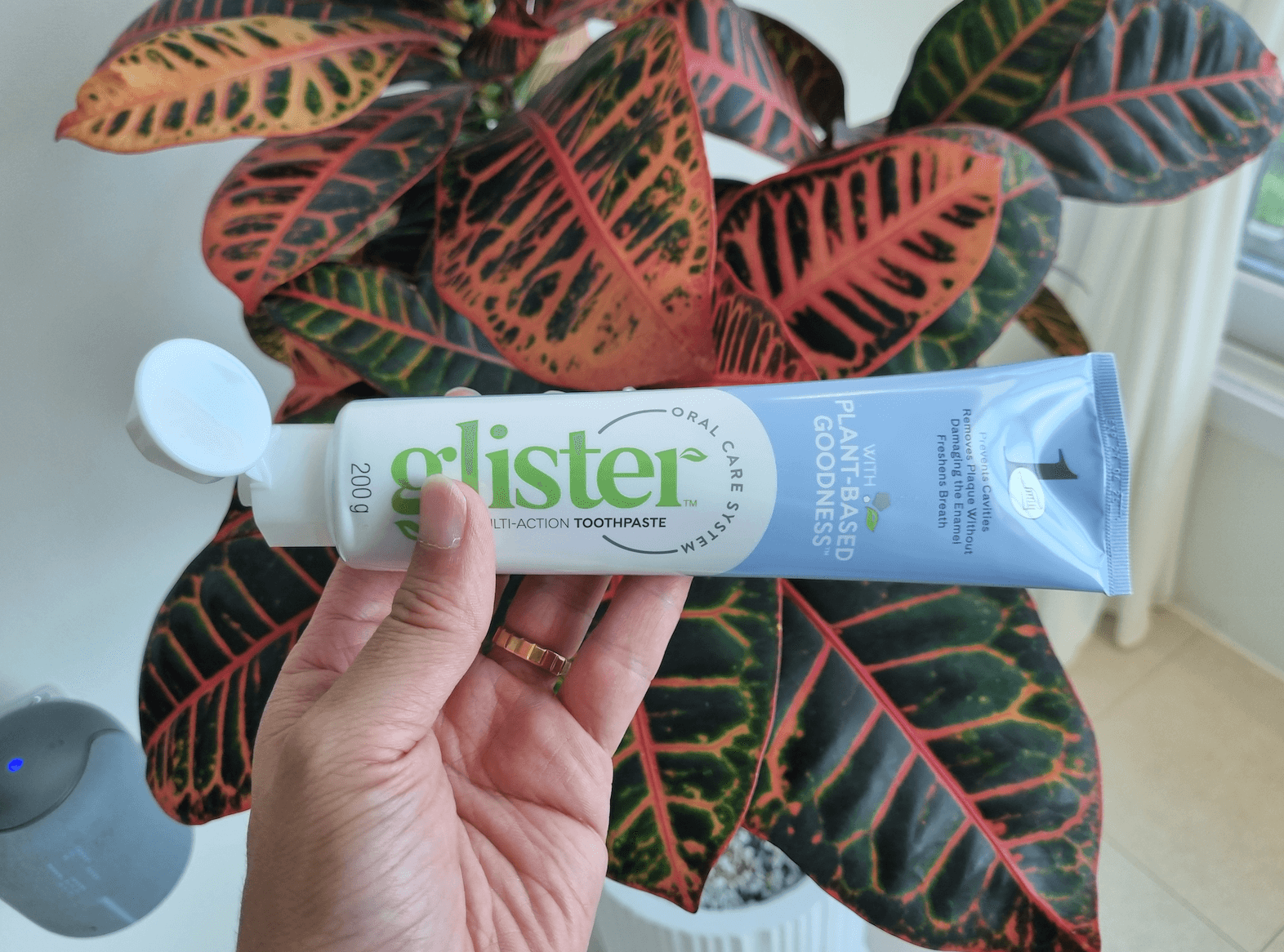 글리스터 치약 후기