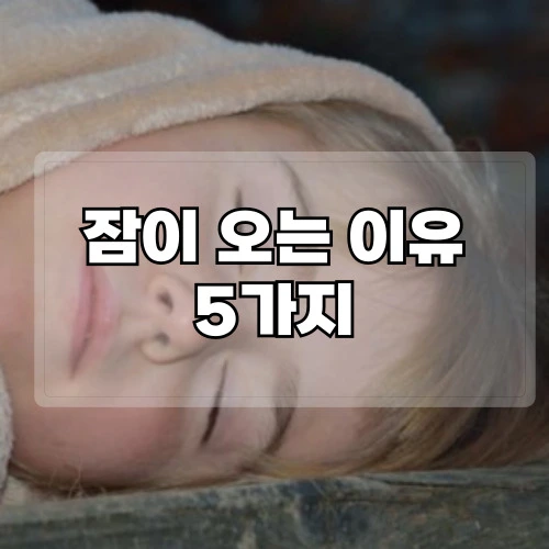 잠이-오는-이유-5가지