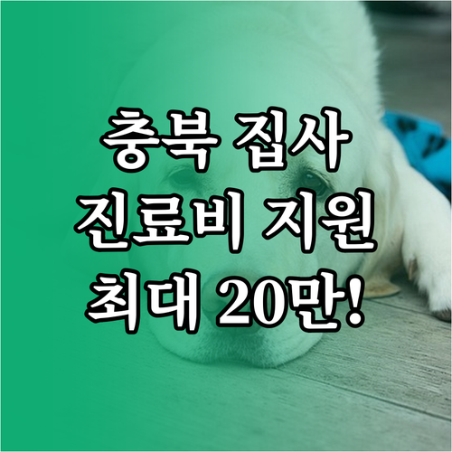 충청북도 취약계층 반려동물 진료비 지..