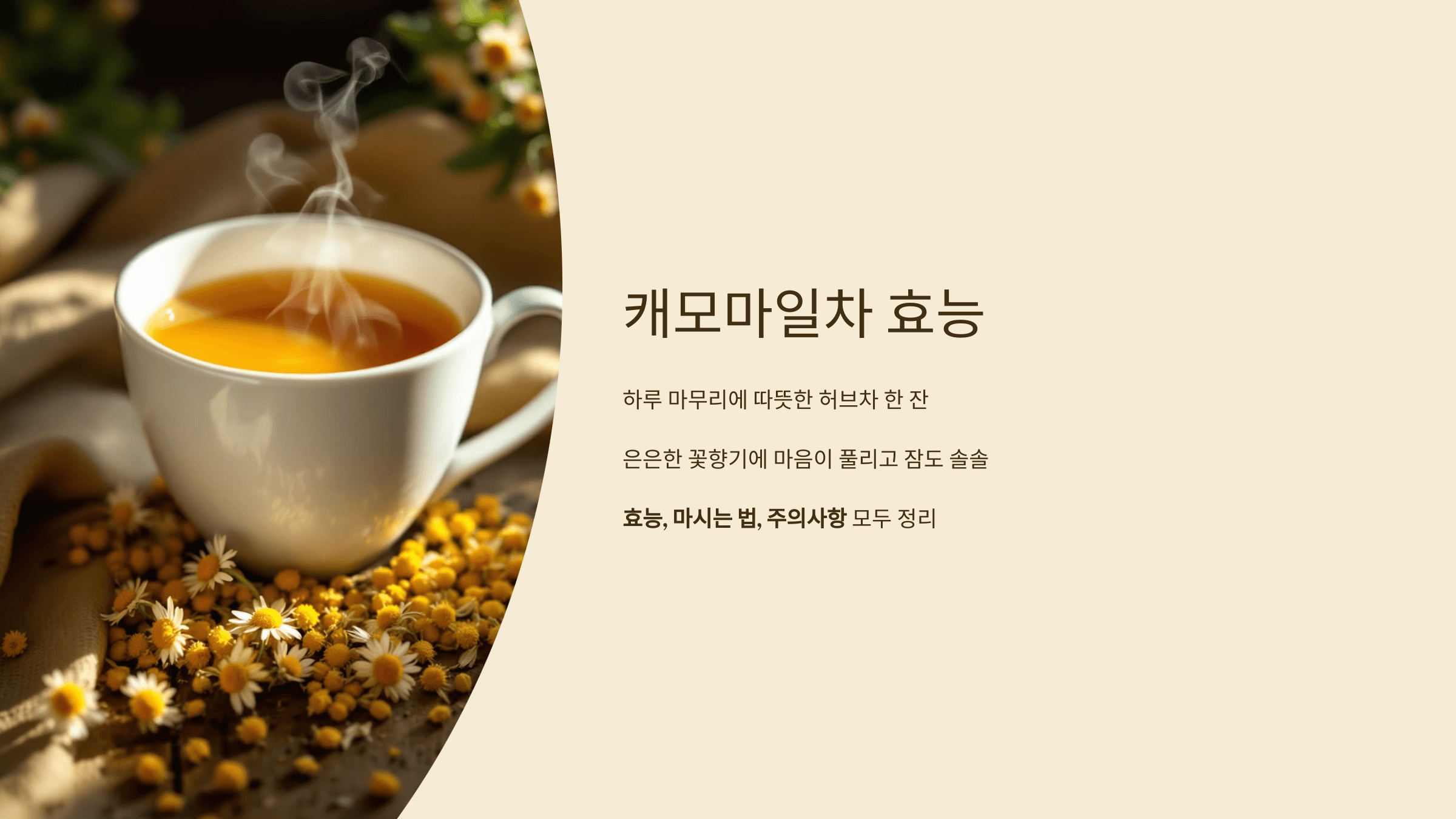 캐모마일차 사진입니다.