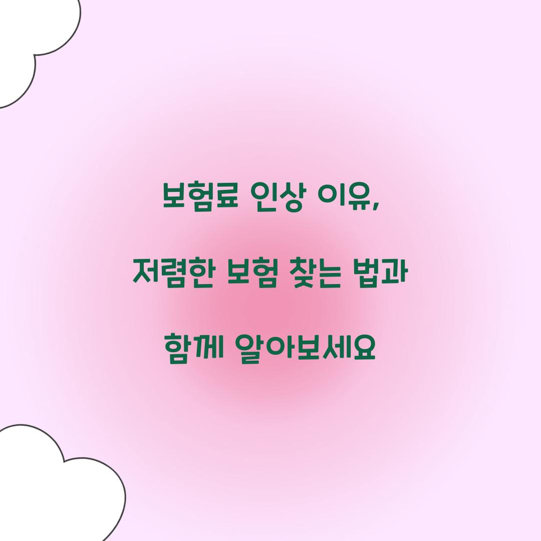 보험료 인상 이유