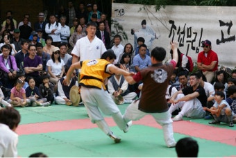 태껸의 몸의 흐름과 자연관