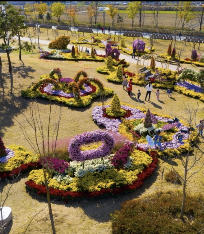 2023 가을 국화 축제(경기, 경남, 충남, 전북, 전남)