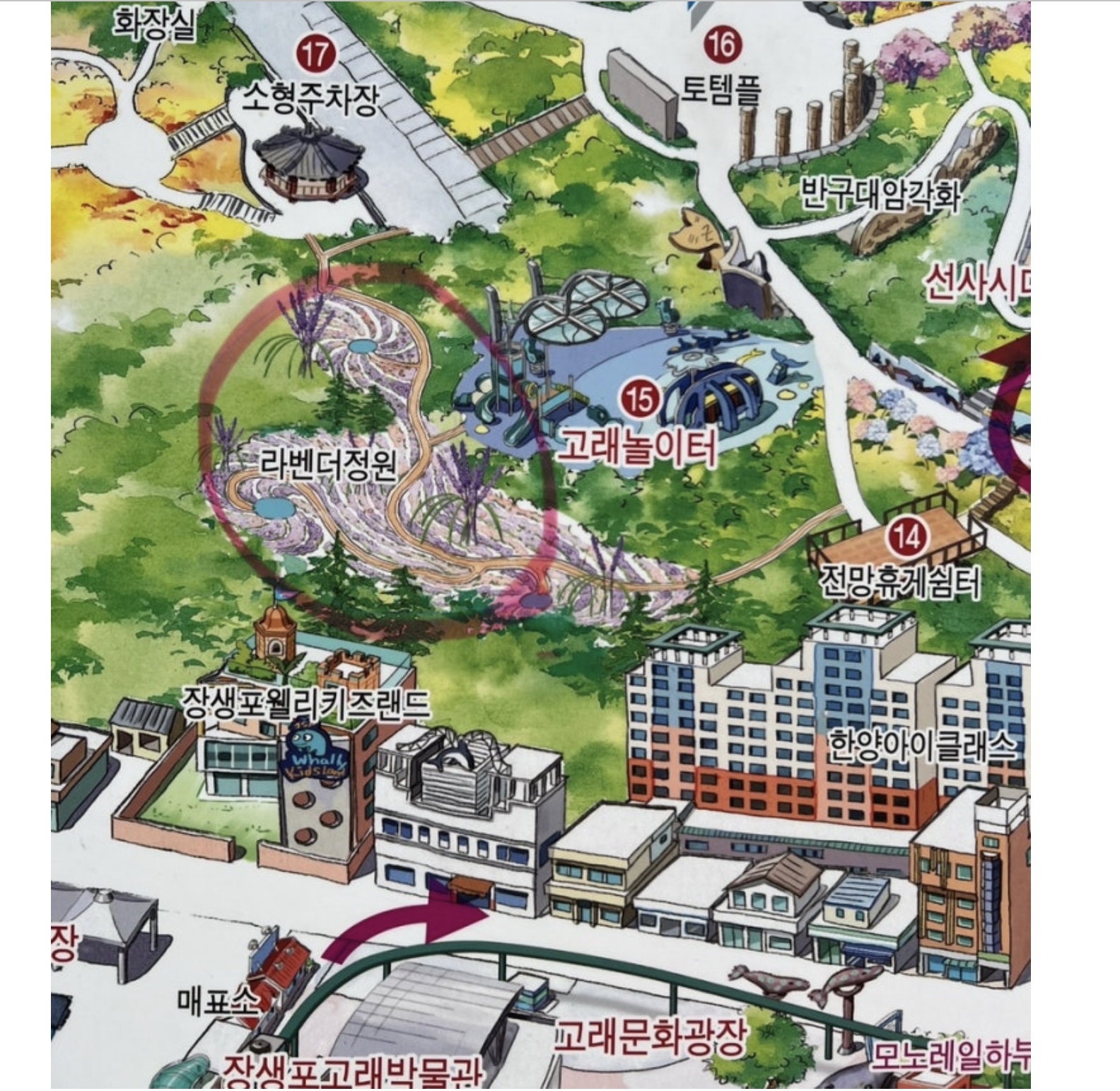 5월 축제 관련사진