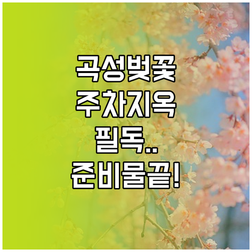 곡성 벚꽃 여행 준비물 및 주말 주차..
