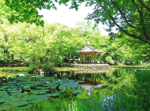 장산숲