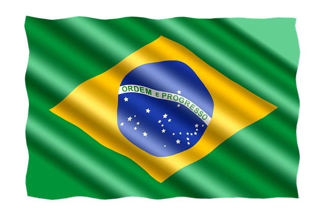 [12편] 브라질 정부 데이터를 통해 본 개발도상국의 투명한 성장 기록