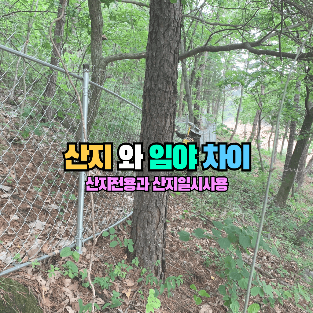 산지와 임야의 차이: 산지전용과 산지일시사용