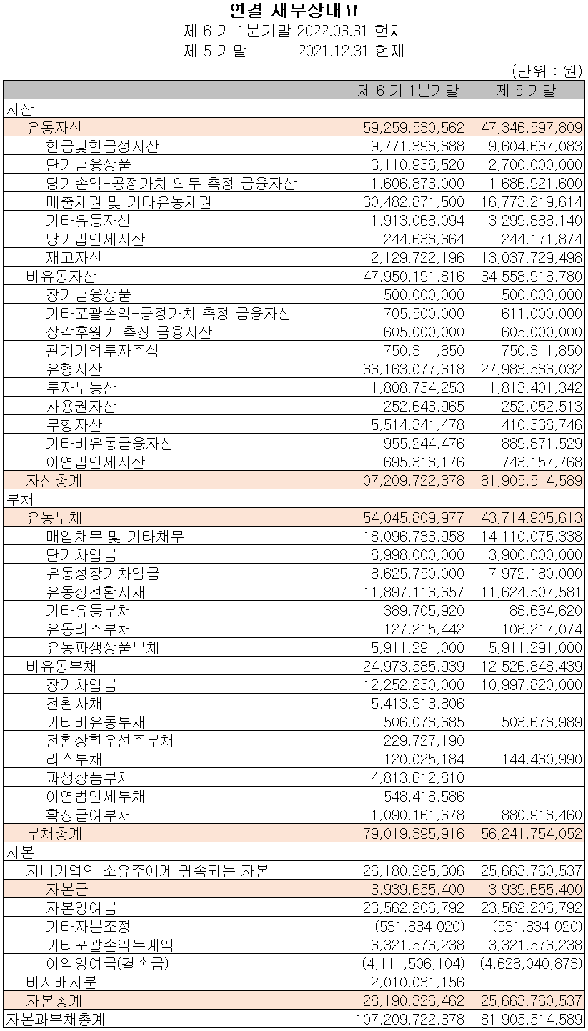나인테크 - 재무상태표