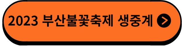 불꽃축제생중계