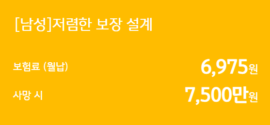 KB착한 정기보험 더모아 예시