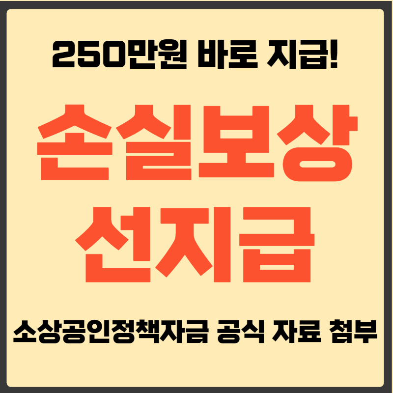 소상공인 손실보상