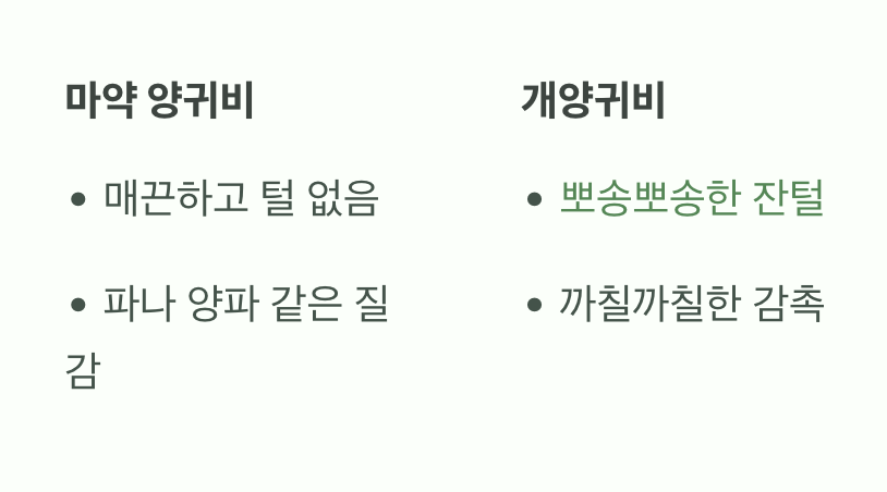 결정적 단서 1: 줄기를 만져보세요